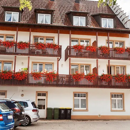 Appartement Suedschwarzwald Bräunlingen