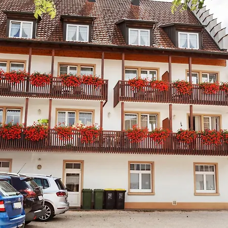 Apartament Suedschwarzwald *